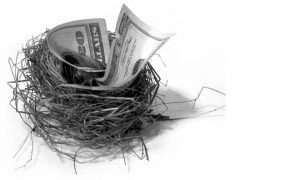 nest-egg-ii-1241466-660x395