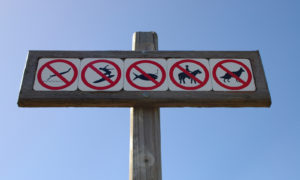no-anything-1549634-660x395