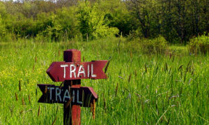 which-way-1549661-660x395