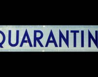 COVID-19 Quarantine Question: How Should 401k Plan Sponsors Communicate to Employees Working From Home?