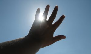 hand-1189614-660x395