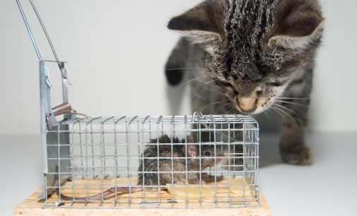 Top Governance Pitfalls Plan Sponsors Must Avoid in 2026 Amid Record ERISA Lawsuits