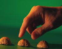 Forfeiture Lawsuits Raise New Governance Risks for 401k Plan Sponsors