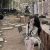Profile picture of degit degit