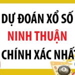 Profile picture of dudoanxsninhthuan tham khảo